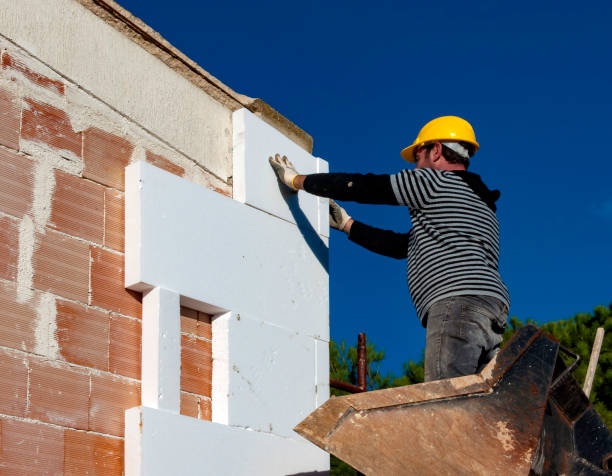 Best Spray Foam Insulation in Carrollton, AL