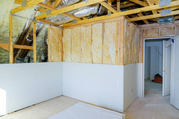 Best Cellulose Insulation in Carrollton, AL