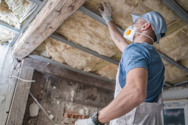 Professional Insulation Contractor in Carrollton, AL