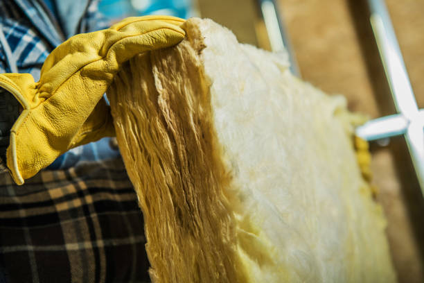 Trusted Carrollton, AL Insulation Contractor Experts