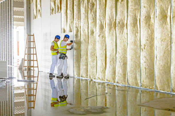 Best Commercial Insulation in Carrollton, AL